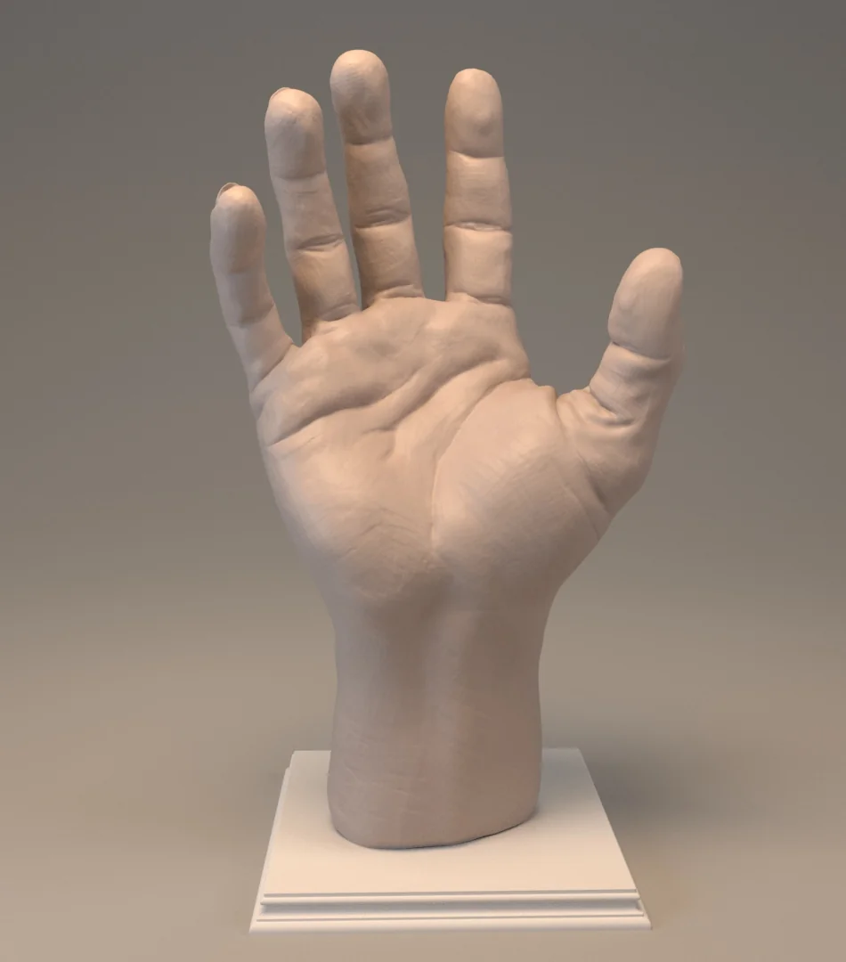 Hand Anatomy WIP