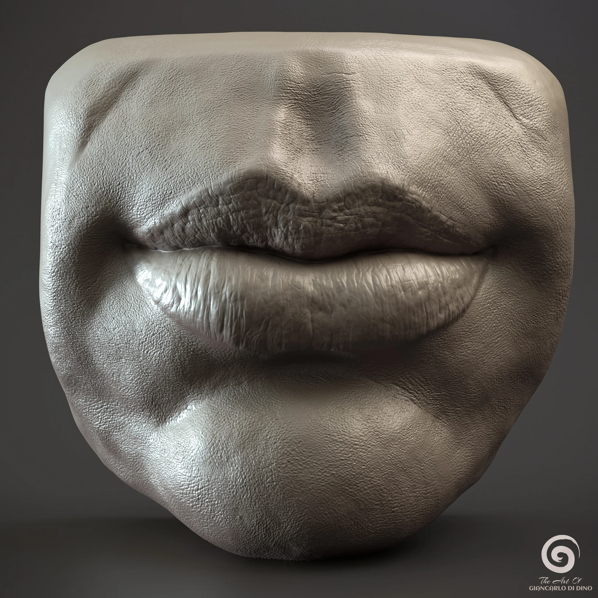 Mouth and Teeth Anatomy Study